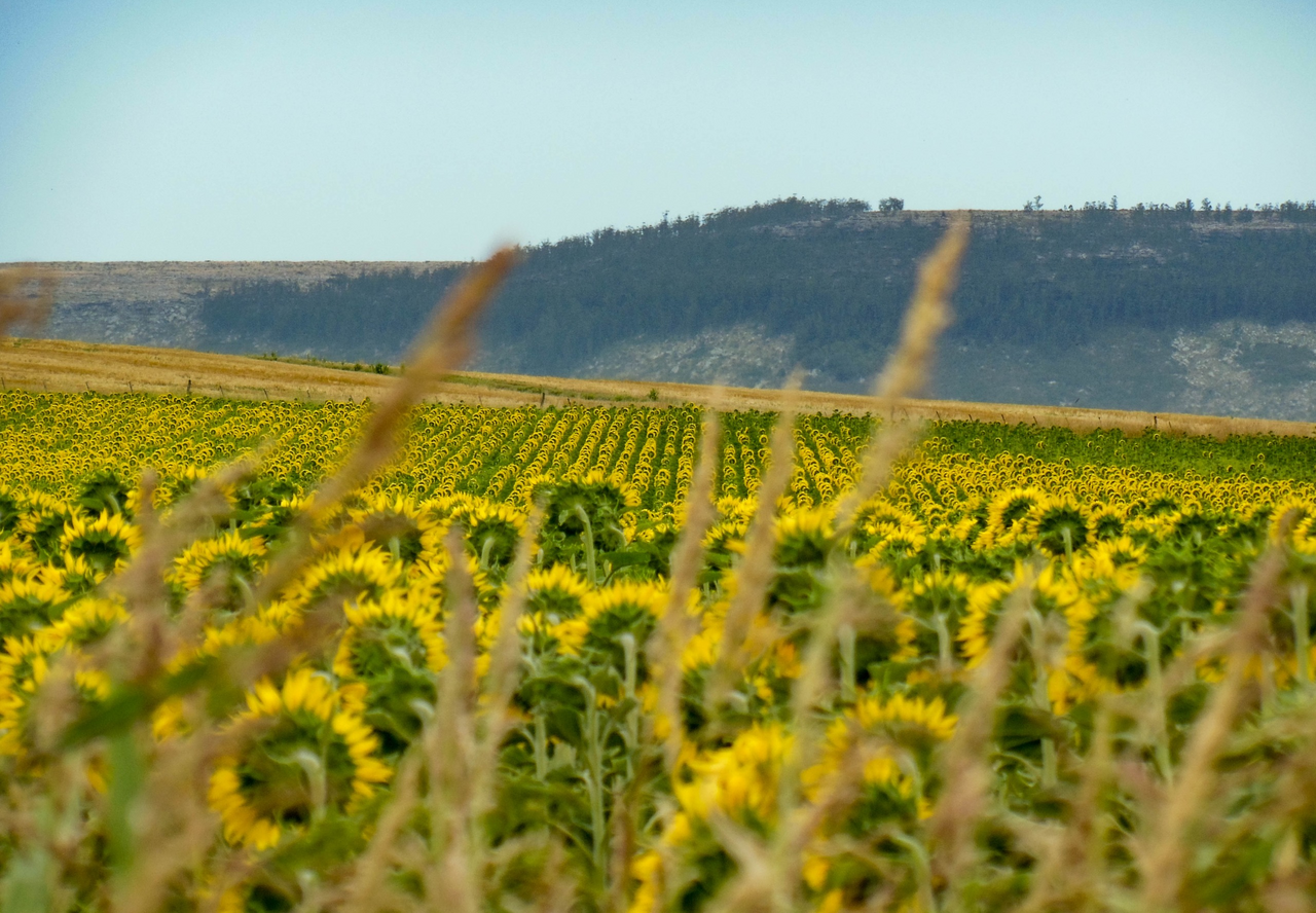 Unlocking a new era of sustainable agriculture