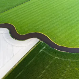 Aerial shot of curves and lines in a Dutch agricultural landscape