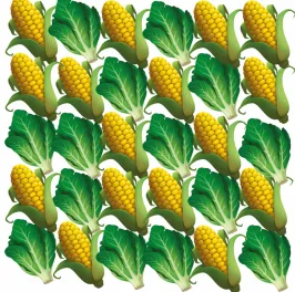 Mixed intercropping