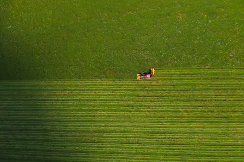 field