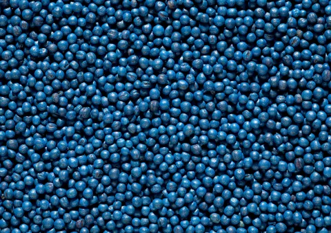treated seeds