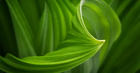 Sustainability priorities