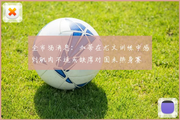 全市场消息:加蒂在尤文训练中感到肌肉不适或缺席对国米热身赛